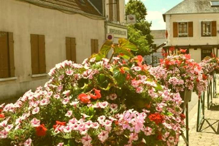 escort Les Essarts
