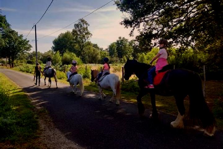 escort Les Rairies