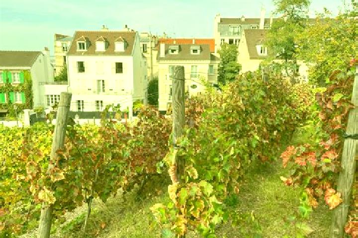escort Les Rues-des-Vignes