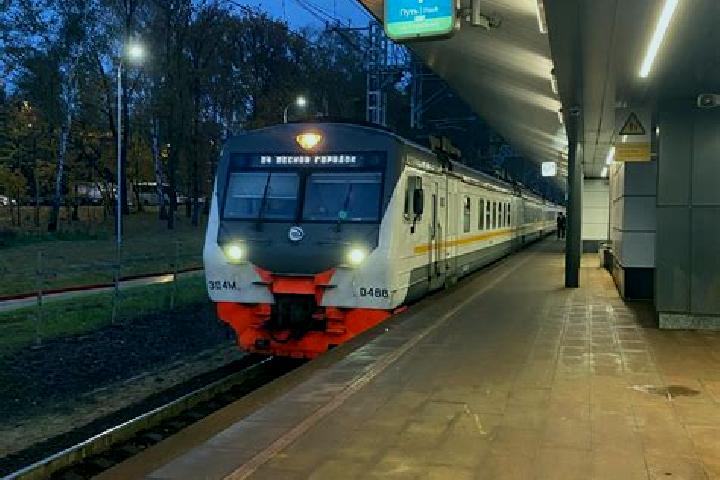 escort Lesnoy Gorodok