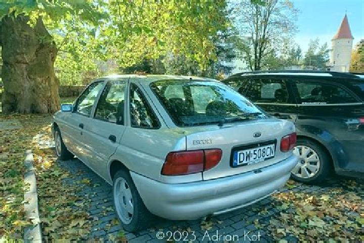 escort Lesznowola