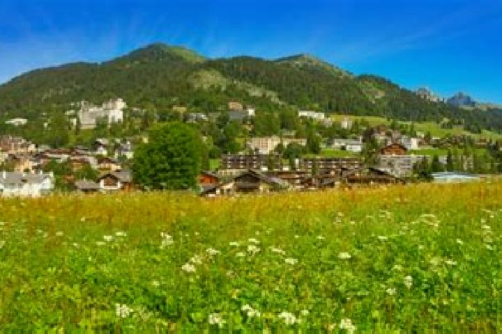 escort Leysin