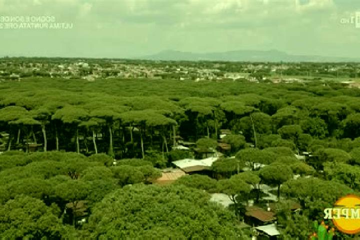 escort Lido dei Pini