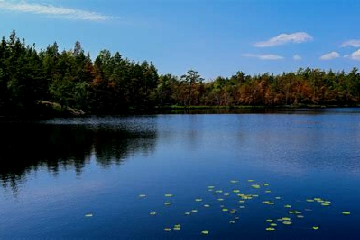 escort Lily Lake