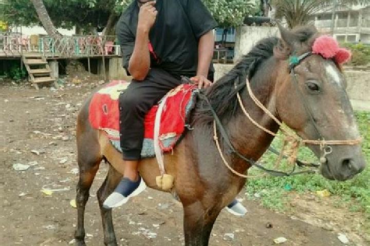 escort Limbe