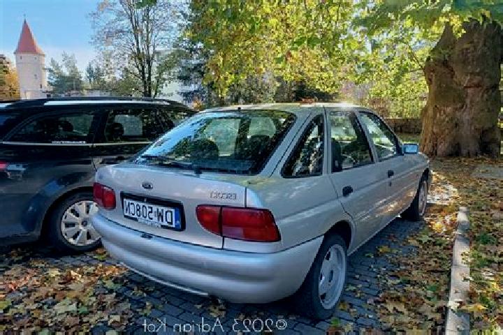 escort Lipkowo