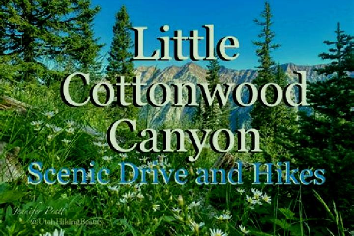 escort Little Cottonwood Creek Valley