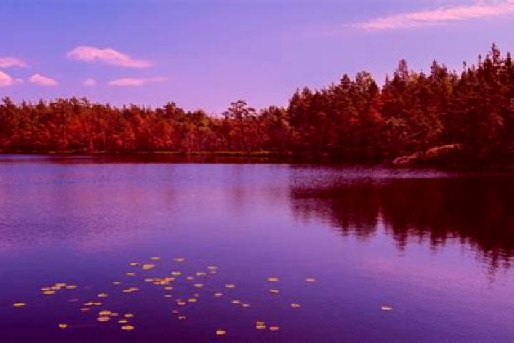 escort Little Round Lake