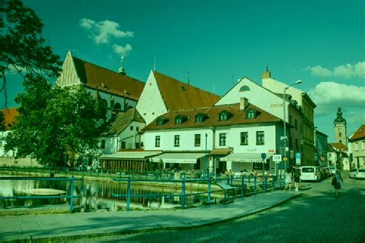 escort Litvinovice