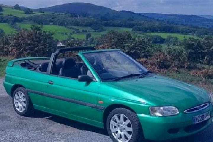 escort Livezi-Vale