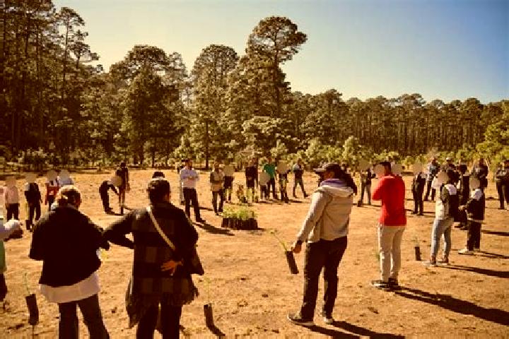 escort Llano de Zacapexco