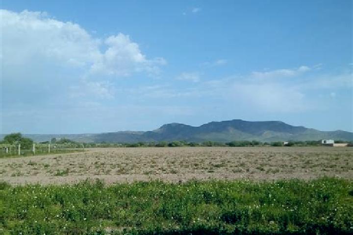 escort Llano Nopo