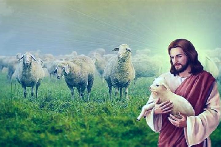 escort Lo de Jesus (Campo Romero)