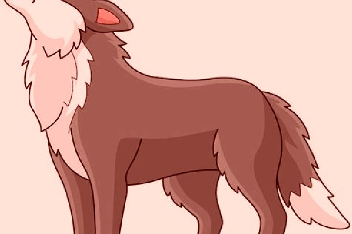 escort Lobo