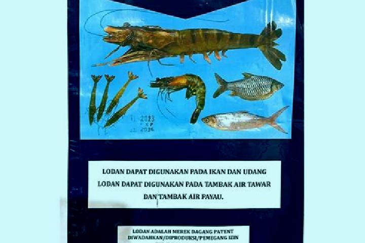escort Lodan Wetan