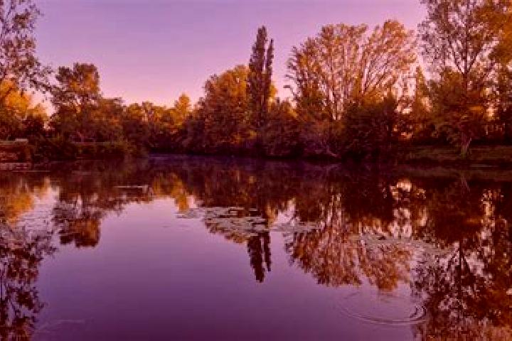 escort Loire-sur-Rhone