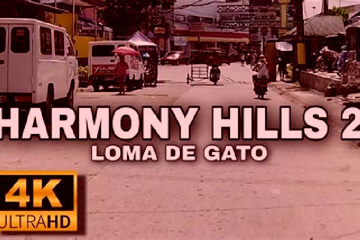 escort Loma de Gato