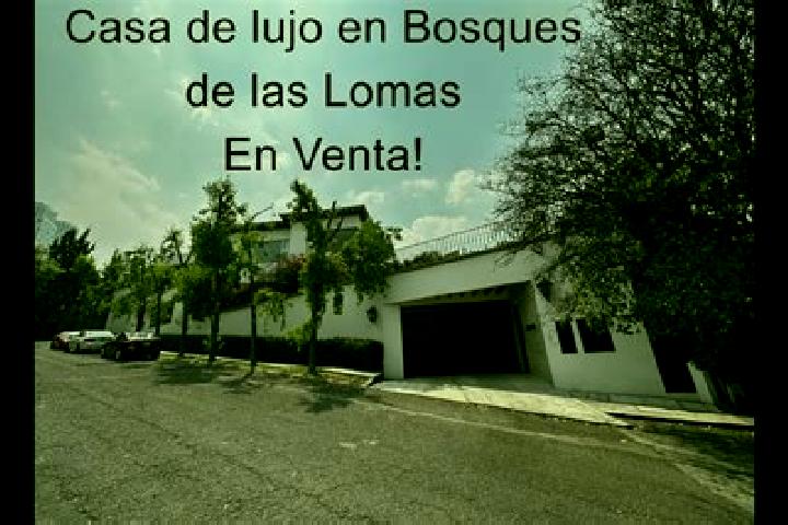 escort Lomas de Santa Cruz