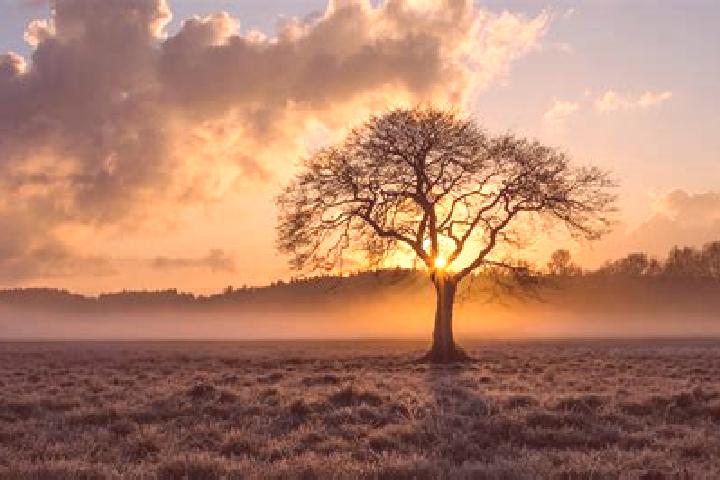 escort Lone Tree