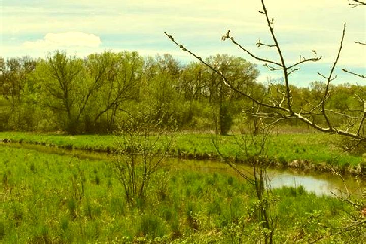 escort Long Prairie