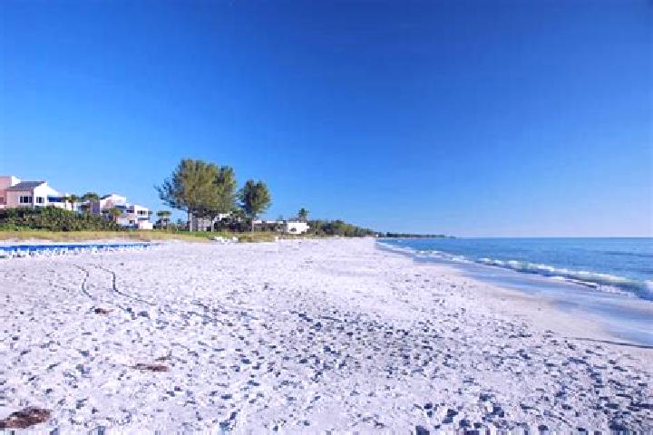 escort Longboat Key