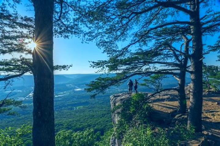 escort Lookout Mountain
