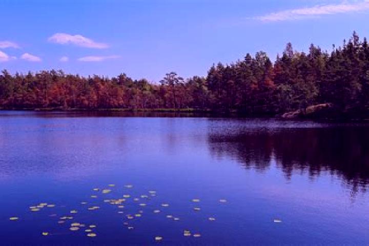 escort Loon Lake
