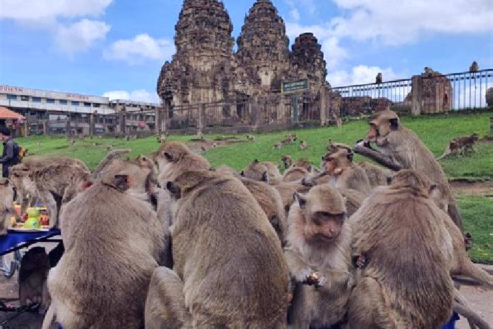 escort Lop Buri