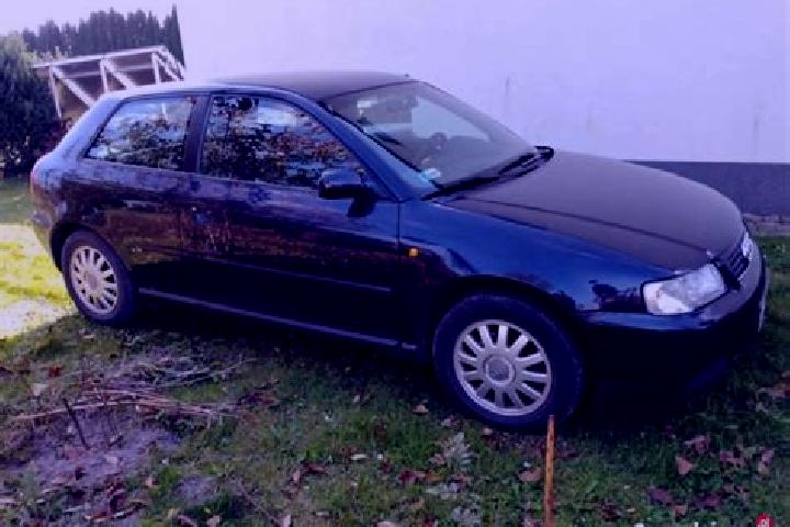 escort Lopiennik Gorny
