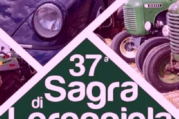 escort Loreggiola