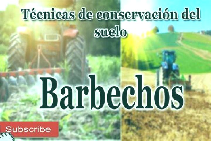 escort Los Barbechos