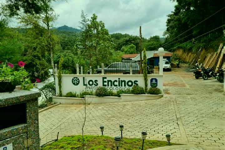 escort Los Encinos