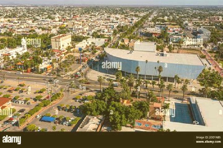 escort Los Mochis