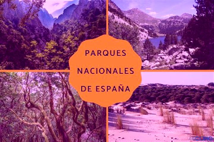 escort Los Parques