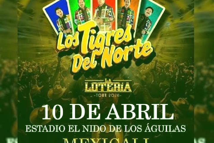 escort Los Tigres (San Marcos)