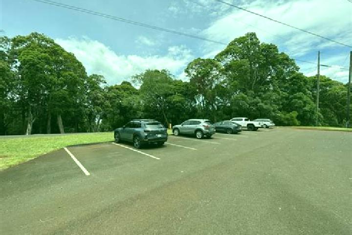 escort Lower Aiea