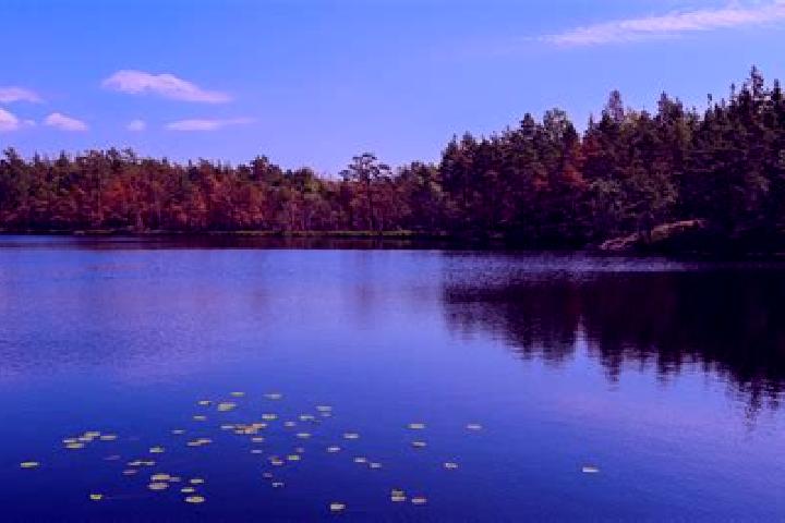 escort Lower Lake