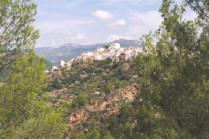escort Lucena del Cid