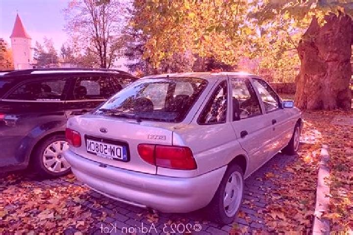 escort Luhden