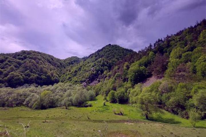 escort Lunca Cernii de Jos