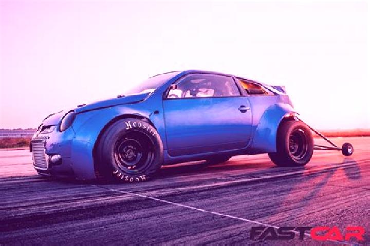 escort Lupo