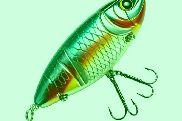 escort Lure