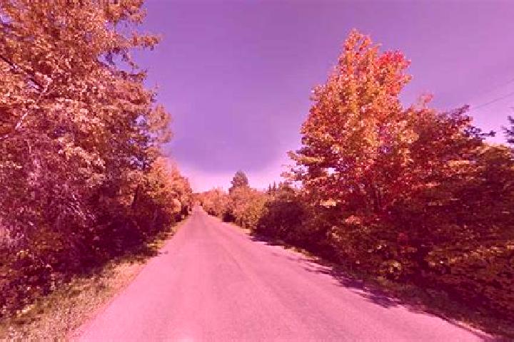 escort Lutes Mountain