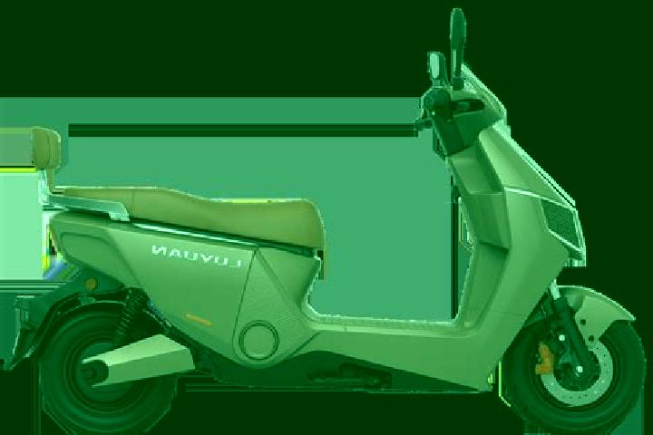 escort Luyuan