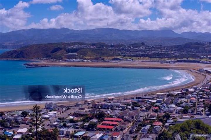 escort Lyall Bay
