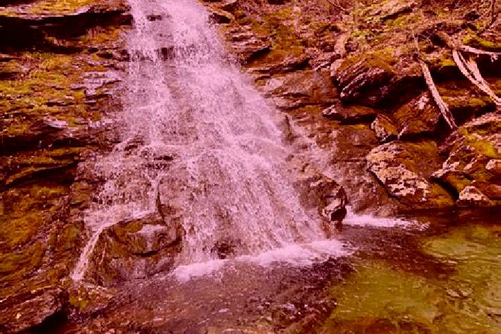 escort Lyons Brook