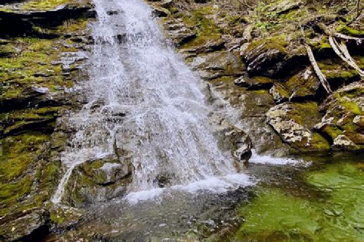 escort Lyons Falls