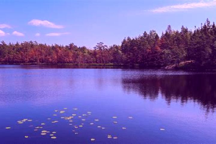 escort Madison Lake