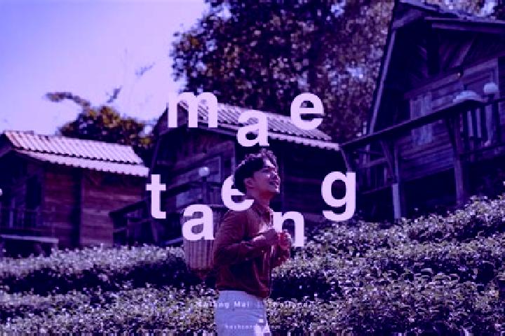 escort Mae Taeng