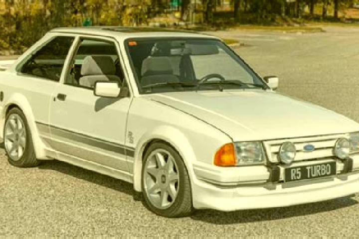 escort Magpet